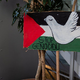 Na FDV protest v podporo Palestini