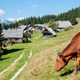 Vstopnina za Triglavski narodni parki in kvota za obisk Triglava?